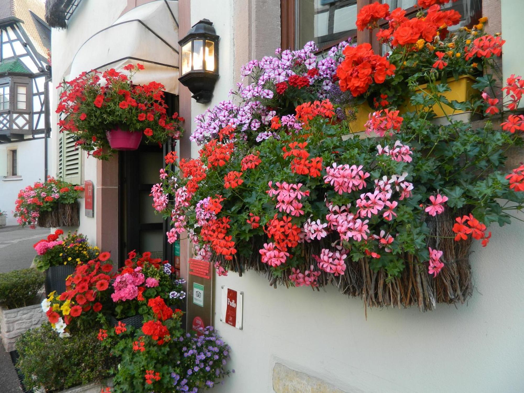 L'hostellerie Du Chateau 3* Eguisheim
